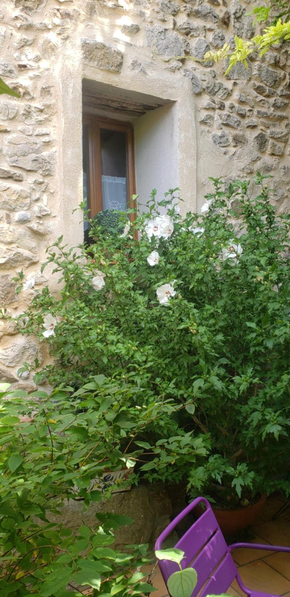 Le Chateau Camps-sur-l'Agly Exterior photo