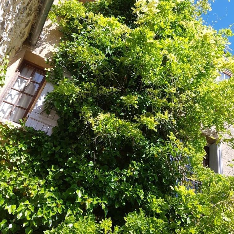Le Chateau Camps-sur-l'Agly Exterior photo
